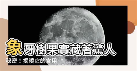 象牙樹果實可以吃嗎